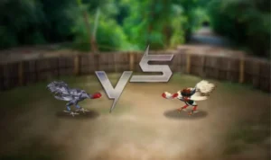 Đá Gà 3D Tại Nohu90