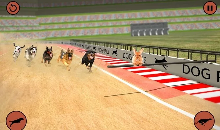 Cách chơi game nhanh Đua Chó Nohu90