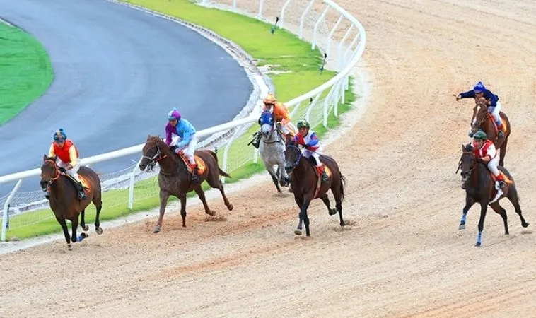 Cần tìm hiểu kỹ về ngựa chiến trước khi tham gia cá cược đua ngựa Nohu90